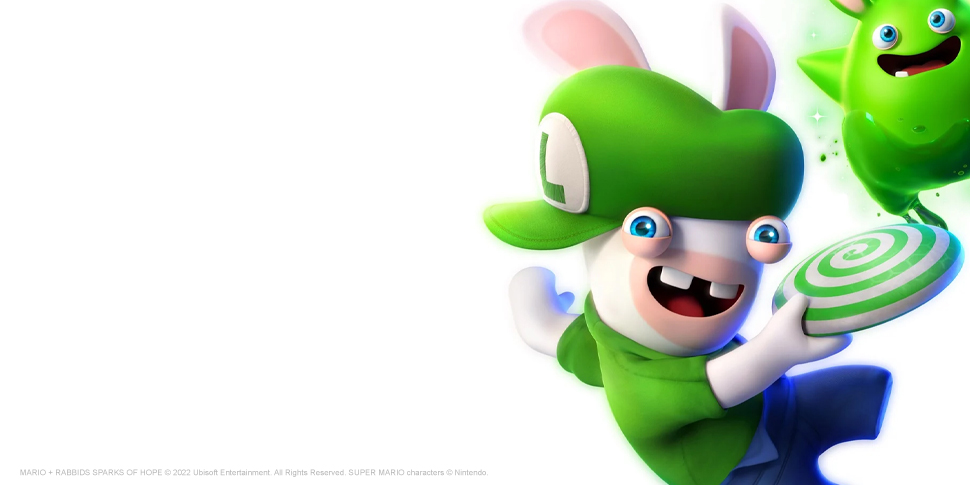 RABBID LUIGI